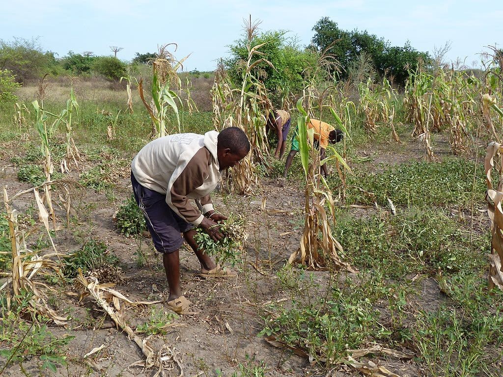 Climate Change and Poverty: A Critical Connection