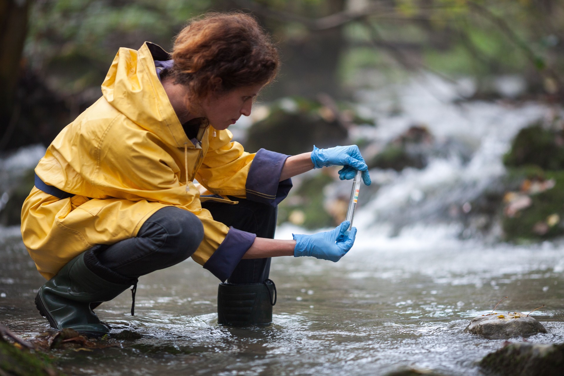 Mid Adult Biologist Measuring PH Value of Water on Field Directly in Water Stream