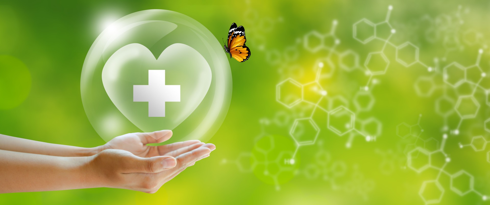Healthcare System Strengthening