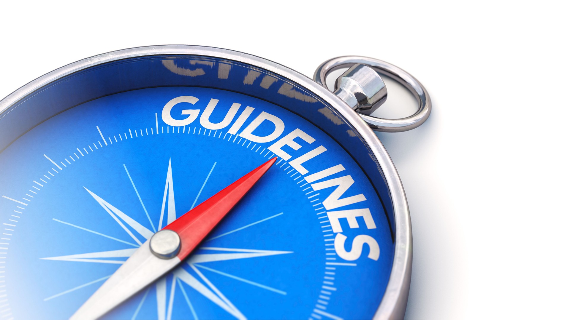 Compass needle pointing towards guidelines