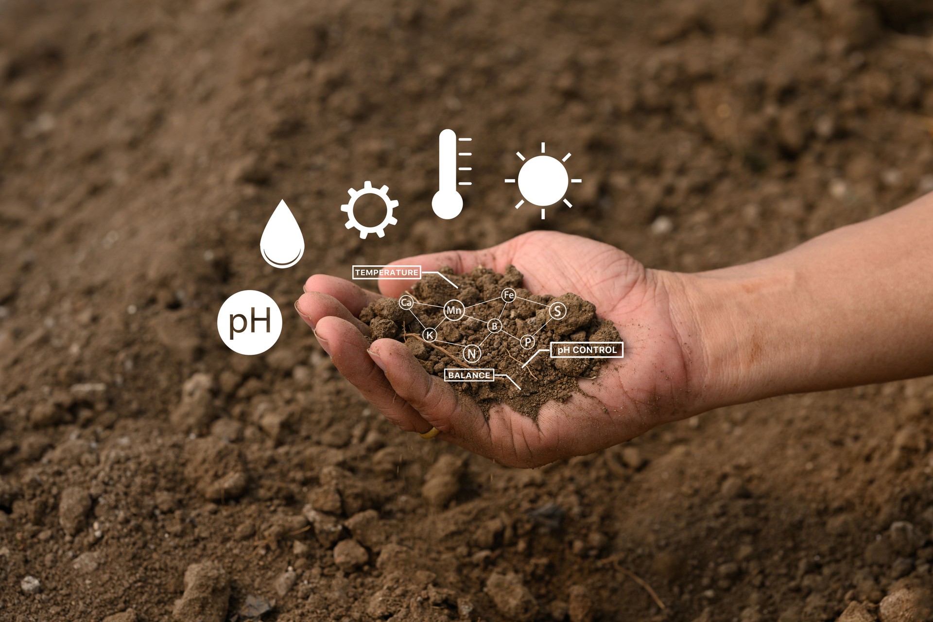 Hand holding soil with virtual interface displaying crucial data on nutrients, temperature, pH and moisture