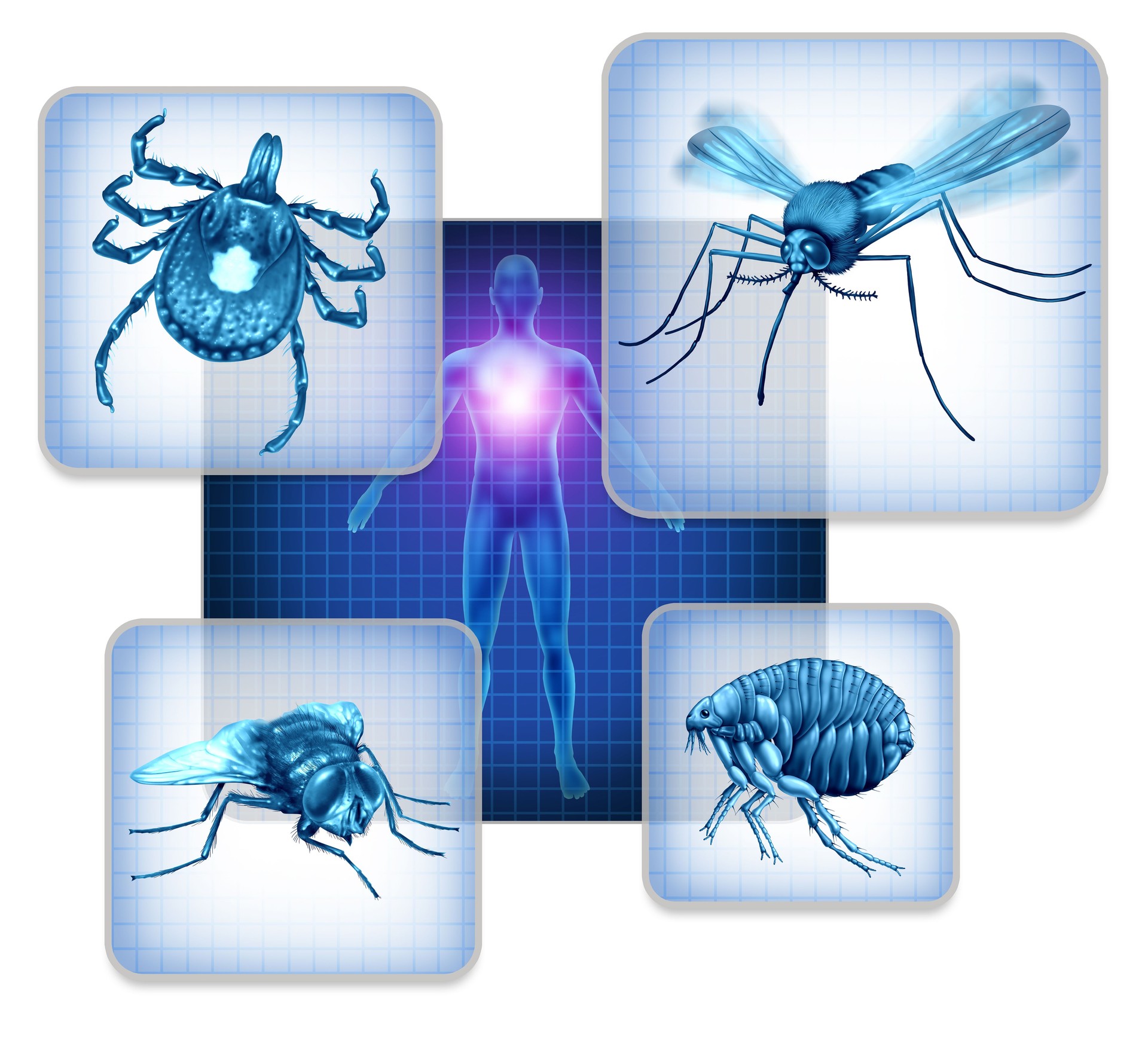 Vector Borne Disease