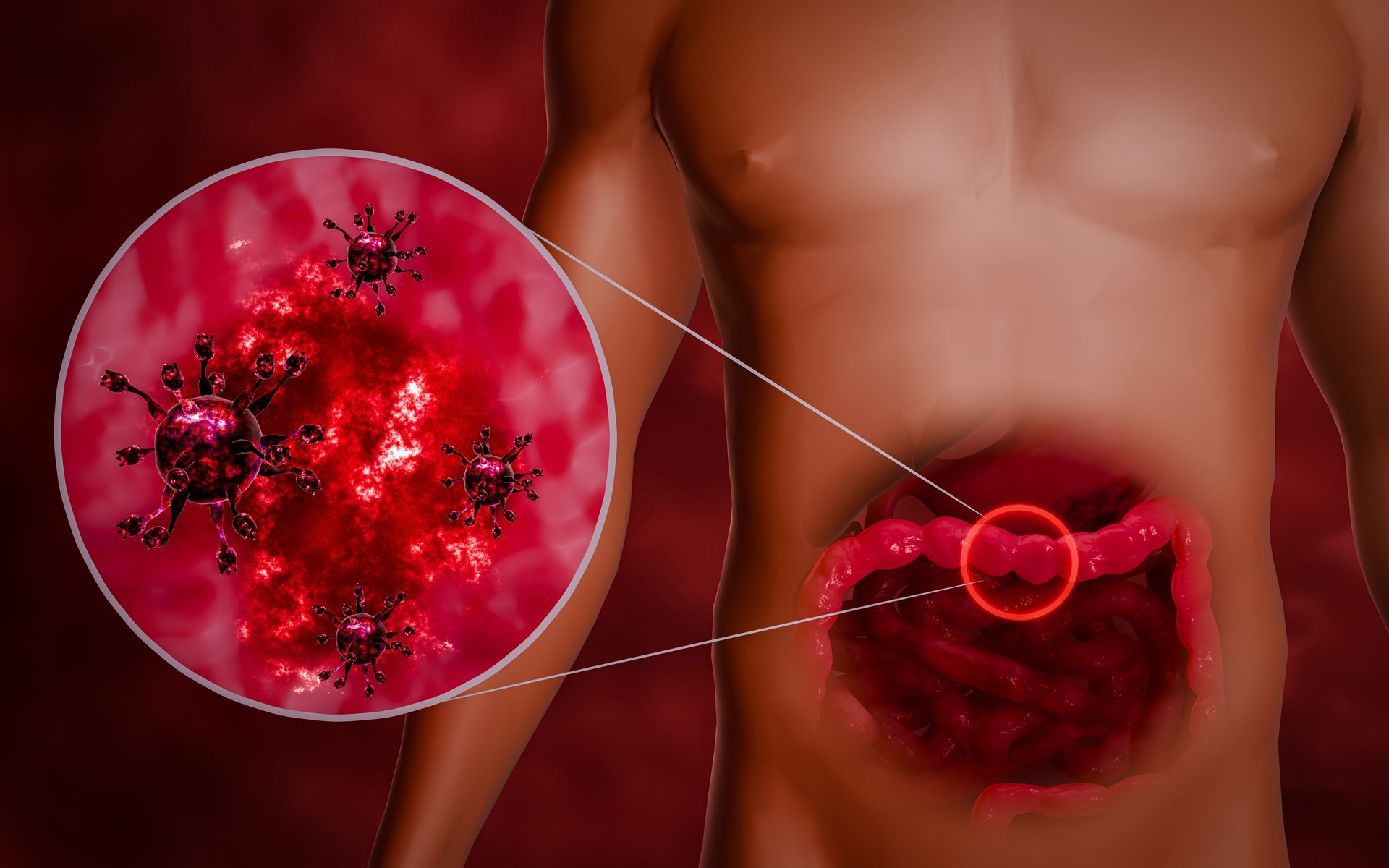 Norovirus is a gastrointestinal or intestinal virus that causes diarrhea, stomachache, and vomiting. Viral infectious diseases are spread through the air and through hand contact. 3D Rendering