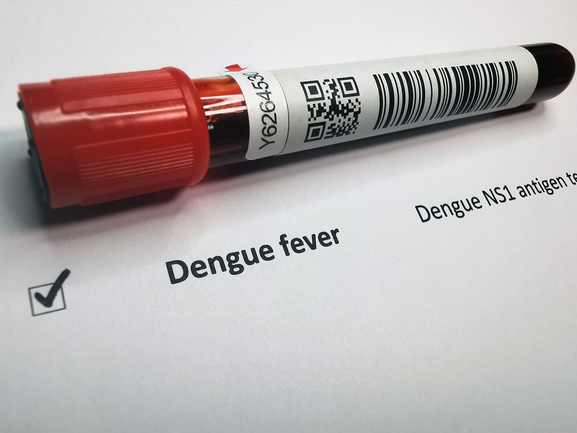 Dengue fever blood test